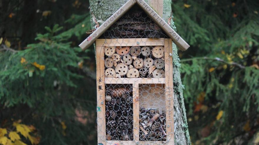 Cómo hacer tu propio &#039;hotel de insectos&#039;