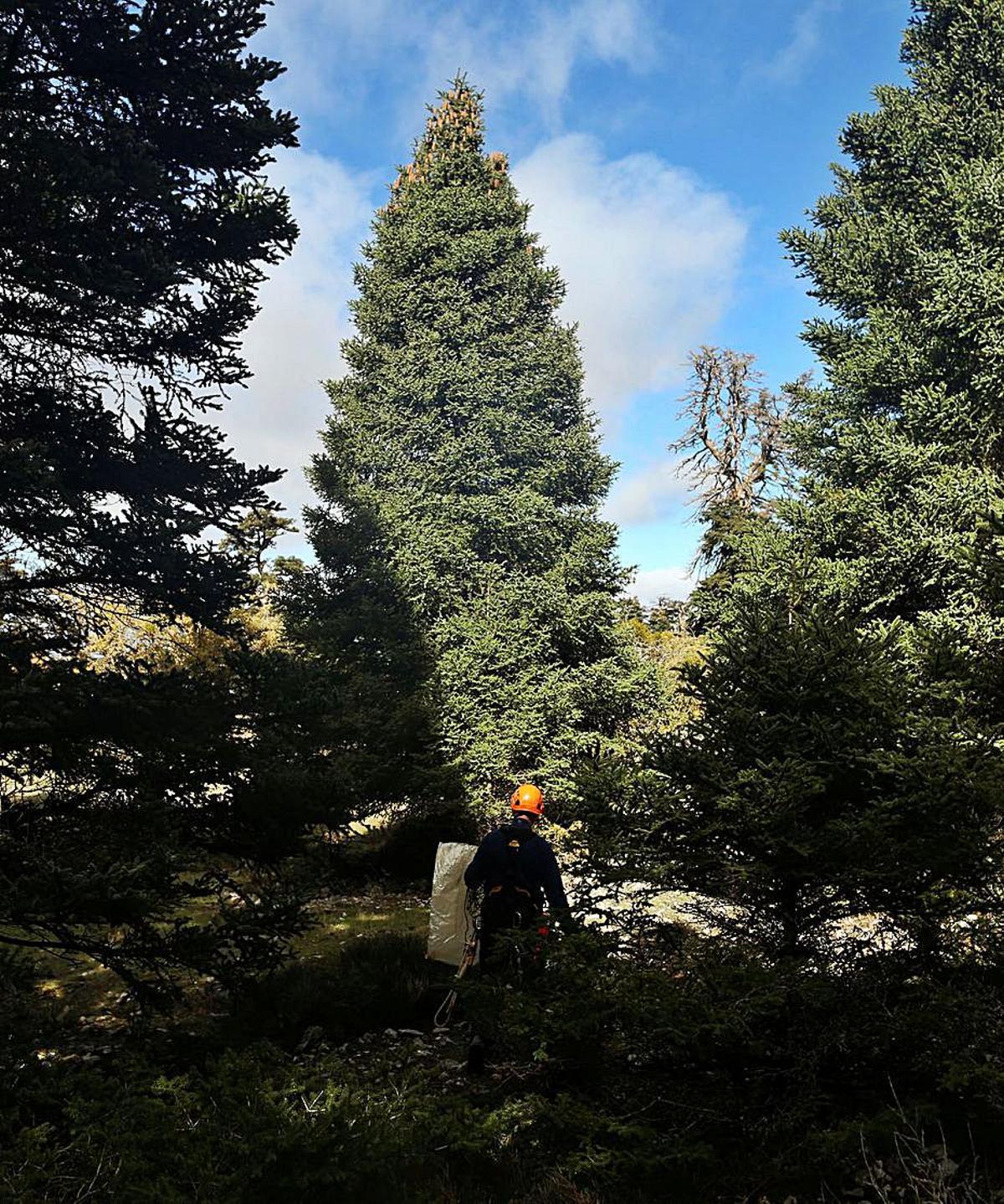 La Sierra de las Nieves, a punto de despegar