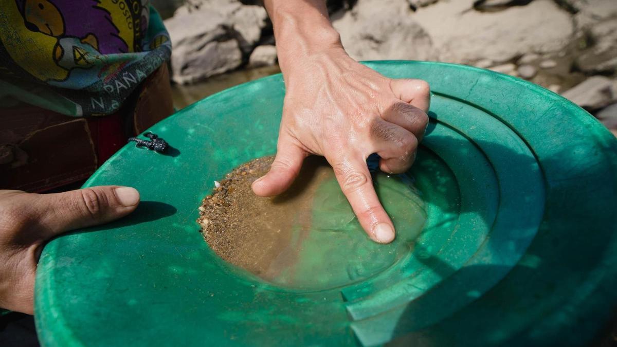 El Miño revive la fiebre del oro