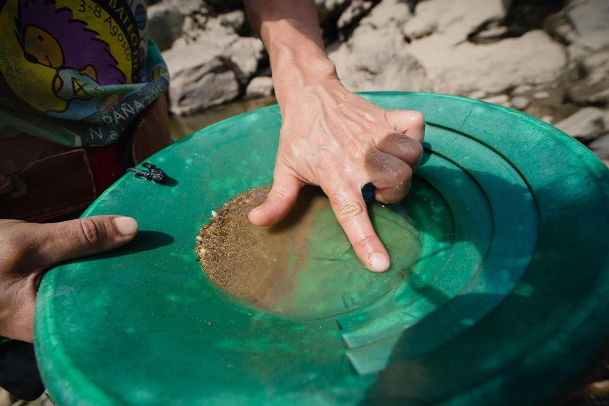 El Miño revive la fiebre del oro