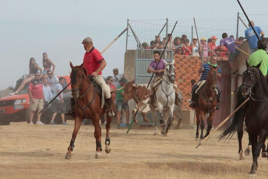 Fiestas en Zamora: Espantos en Carbajales