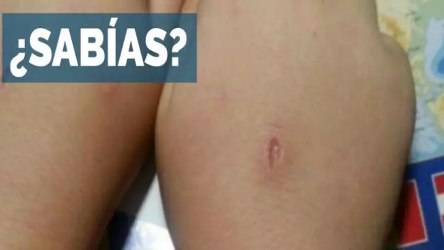 ¿Sabías?: "El abecedario del diablo", el nuevo (y peligroso) reto viral