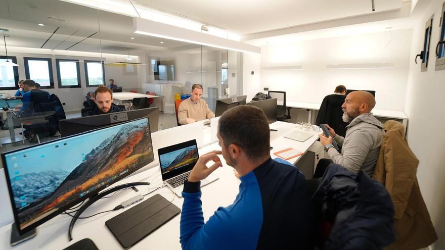 Varios técnicos trabajando en las nuevas oficinas de Son Bibiloni