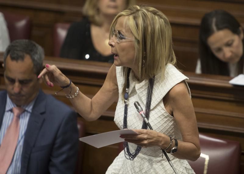 Pleno en el Parlamento de Canarias (21/06/2017)