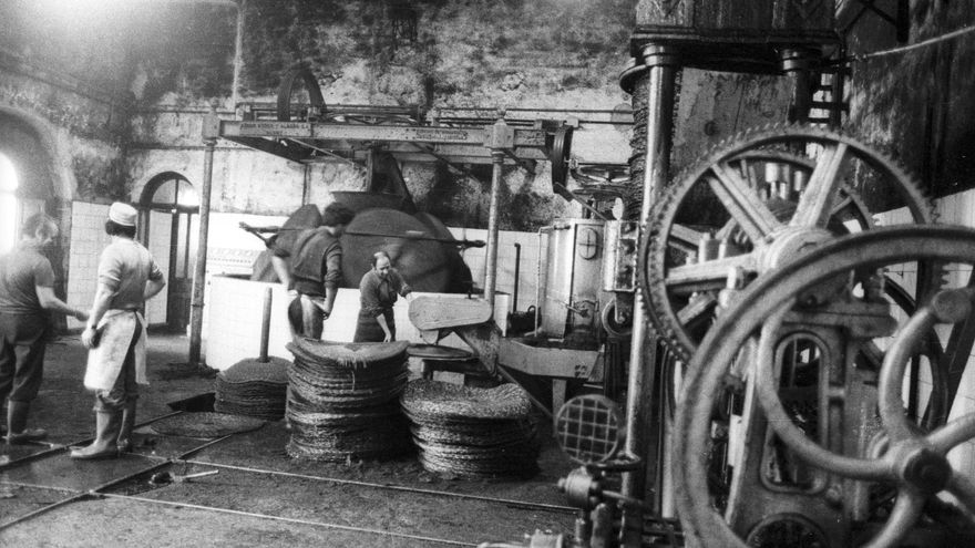 Hace 50 años en Alicante. Del 7 al 13 de abril de 1975: Nadie quiere trabajar en la oliva