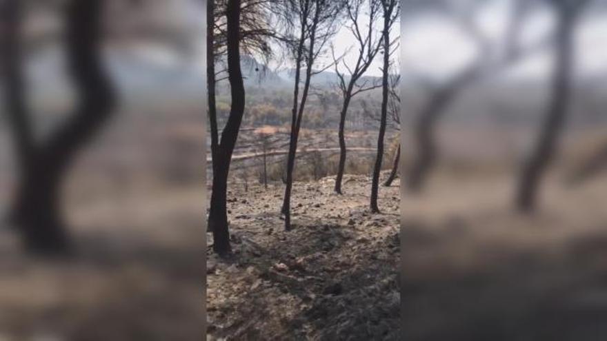 El incendio deja imágenes desoladoras en Llutxent