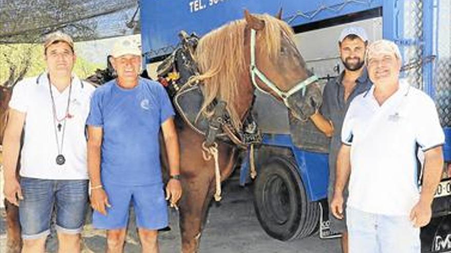 32 caballos en el tiro y arrastre de Moró