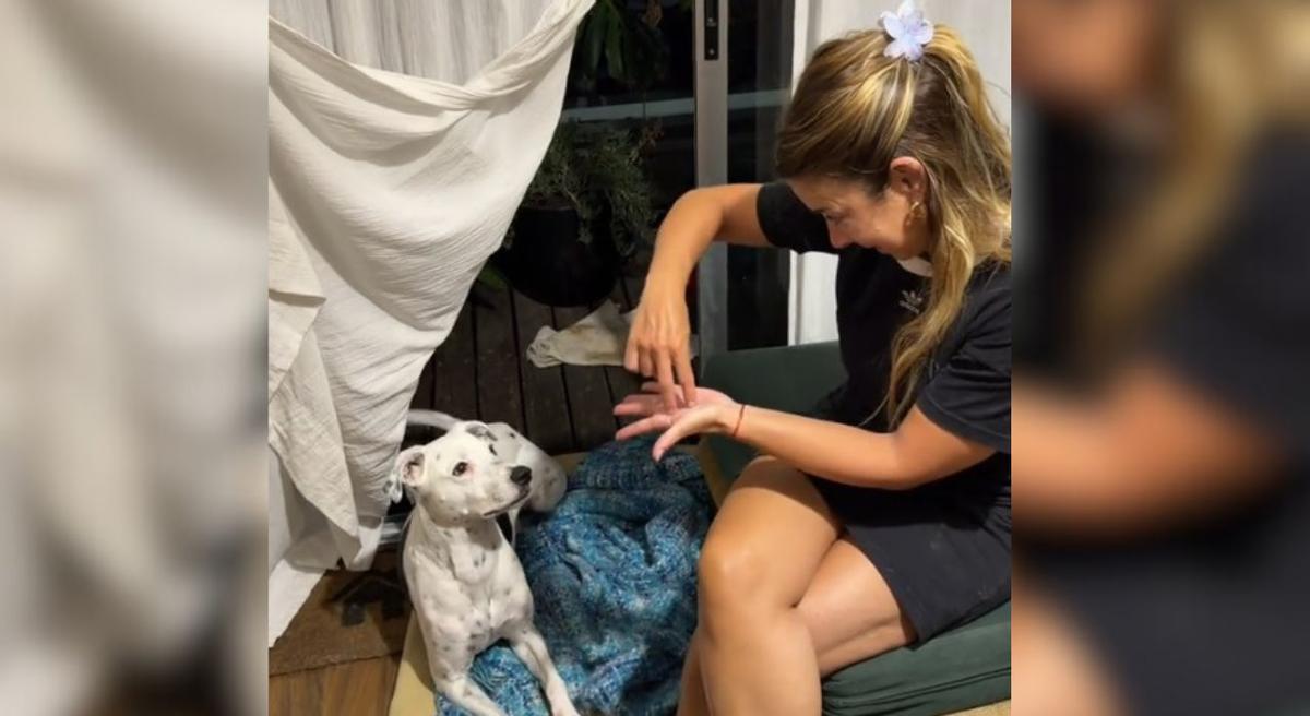 La dueña de Oreo habla con él por lenguaje de signos.