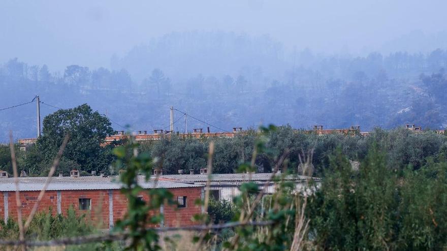 Imágenes del Incendio de Tuéjar