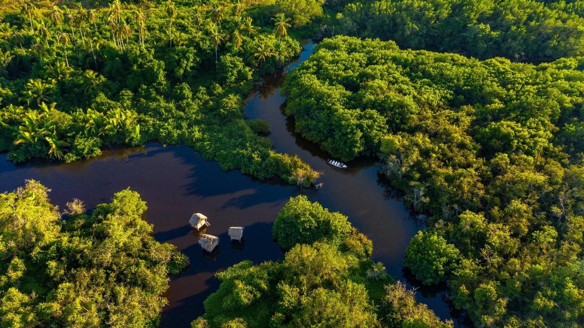 Riviera Nayarit - observatorio aves