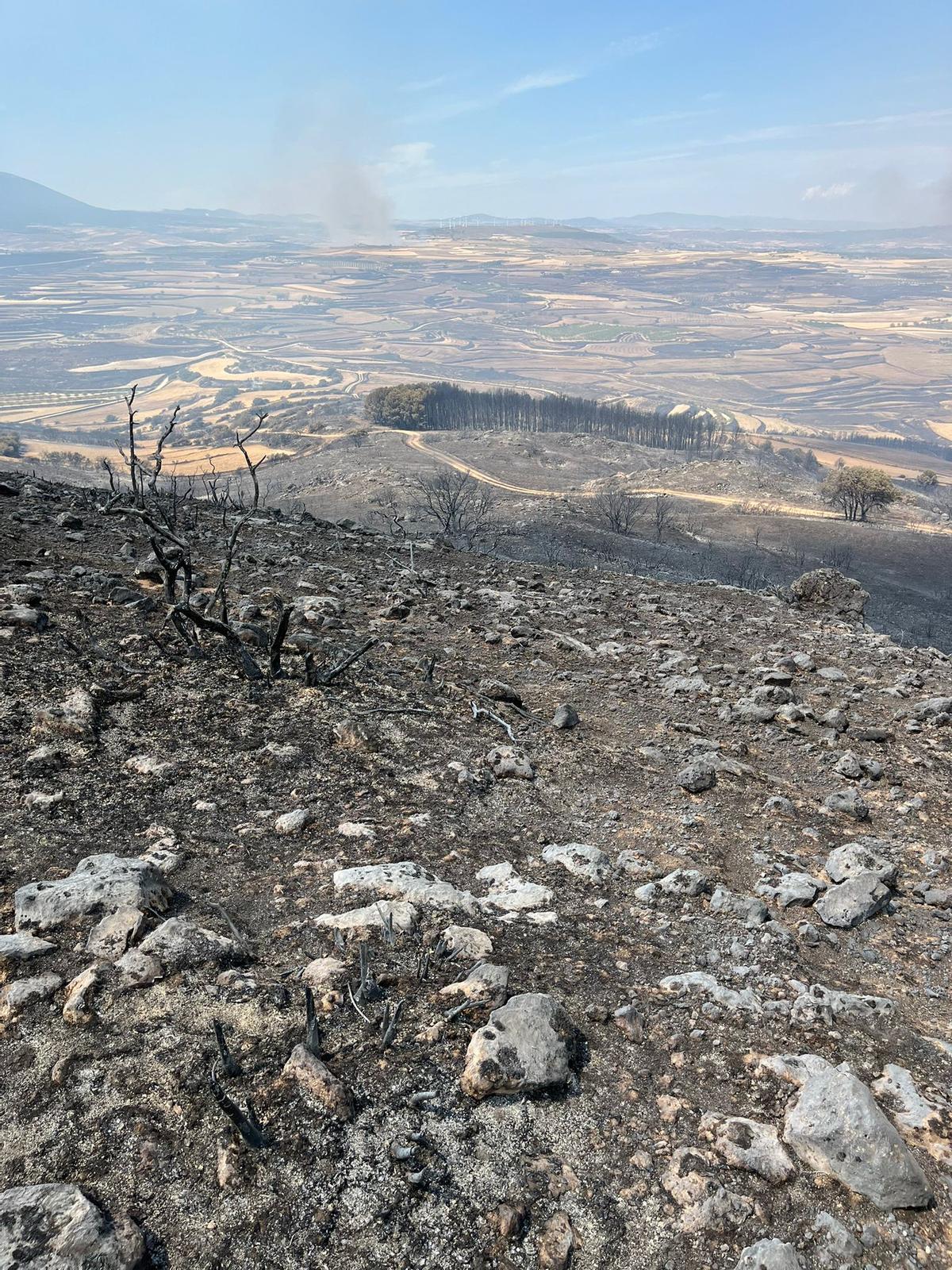 Así quedo el término municipal de Bulbuente tras el incendio del pasado verano