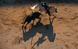 El veto a los toros avanza y encara la votación definitiva