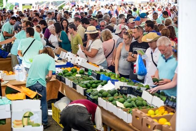 II Feria del Aguacate en Arguineguín