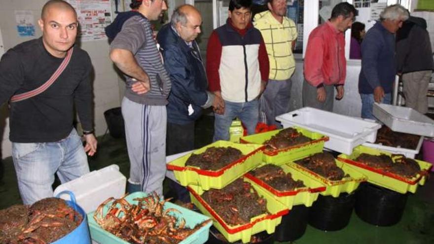 Subasta de centolla en la lonja de O Grove, donde suele tener los precios más altos de Galicia.  //  Muñiz