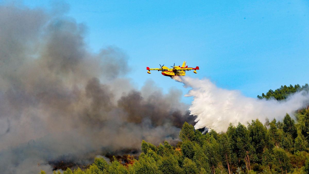 Un incendio cerca la A-52 a su paso por As Neves