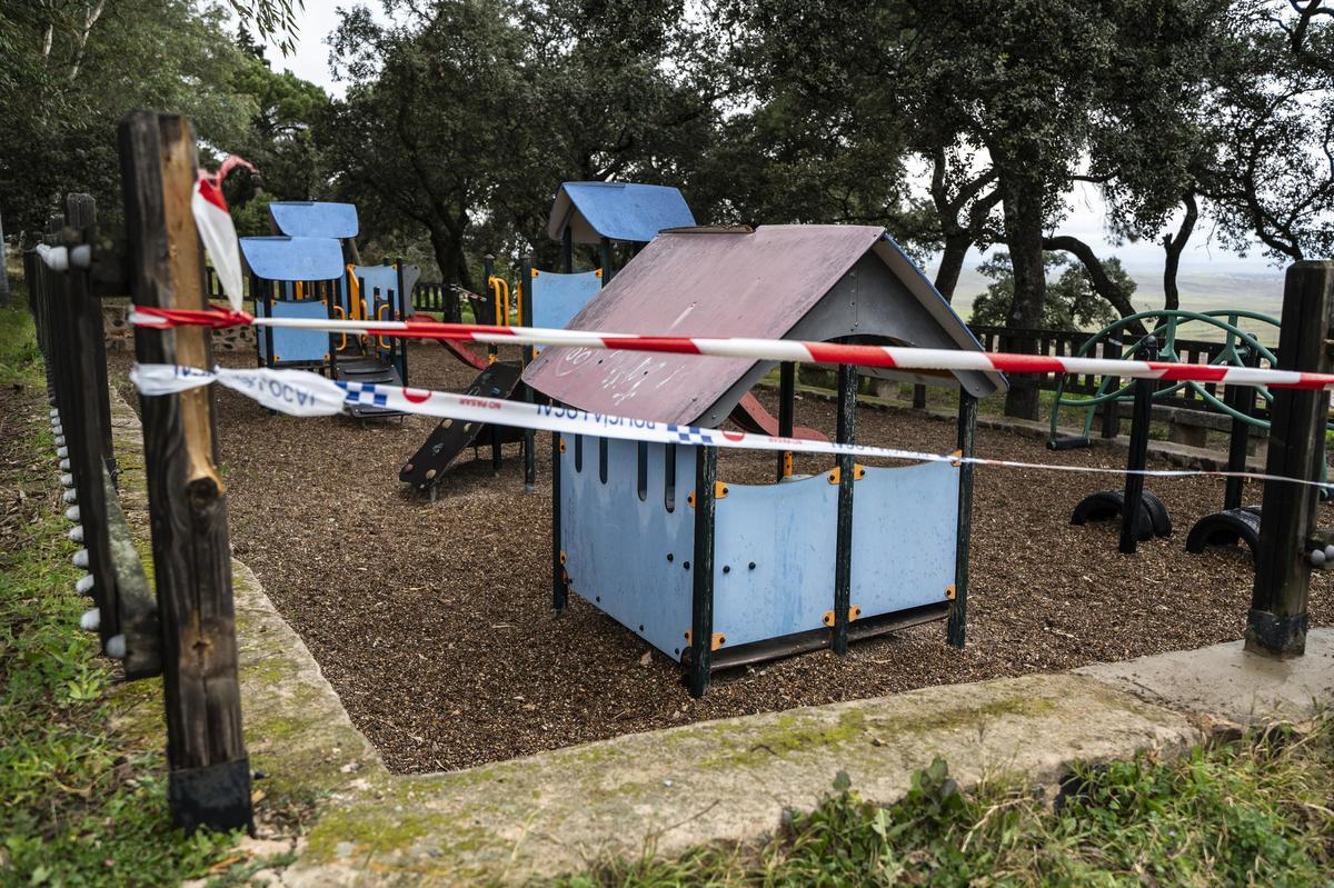 Galería | Vandalismo en el Paseo Alto de Cáceres