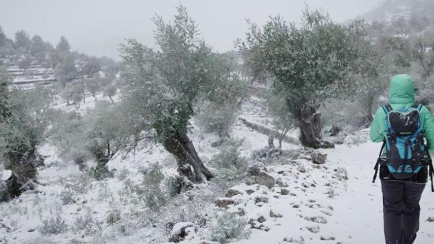 Kältefront bringt am Wochenende Schnee nach Mallorca