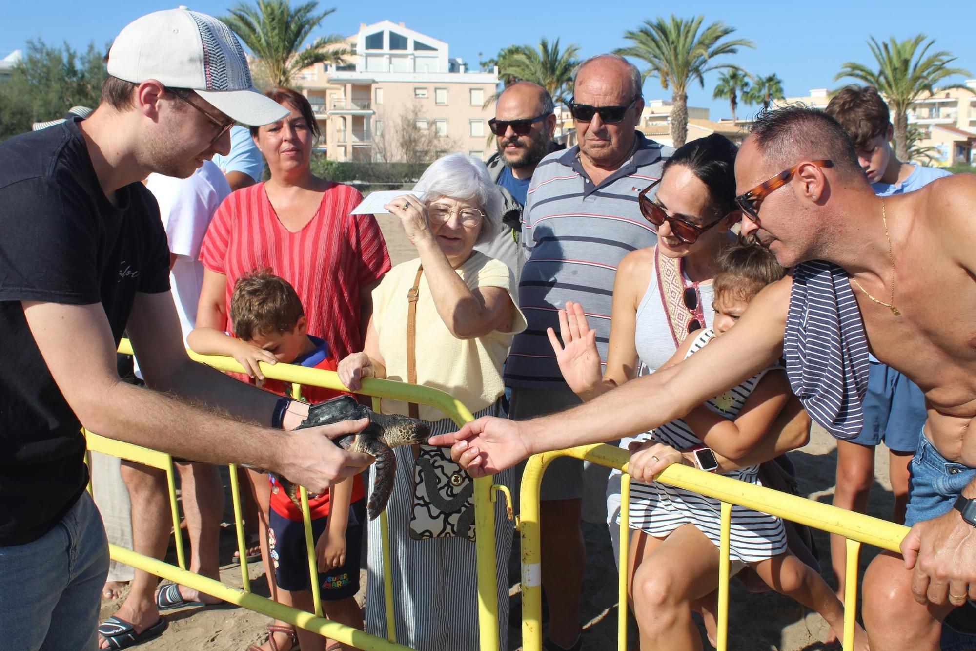 Una gran fiesta que conciencia: las tortugas vuelven al mar en Dénia
