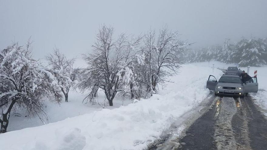 Estado actual de la vía RM-703, cortada durante esta mañana