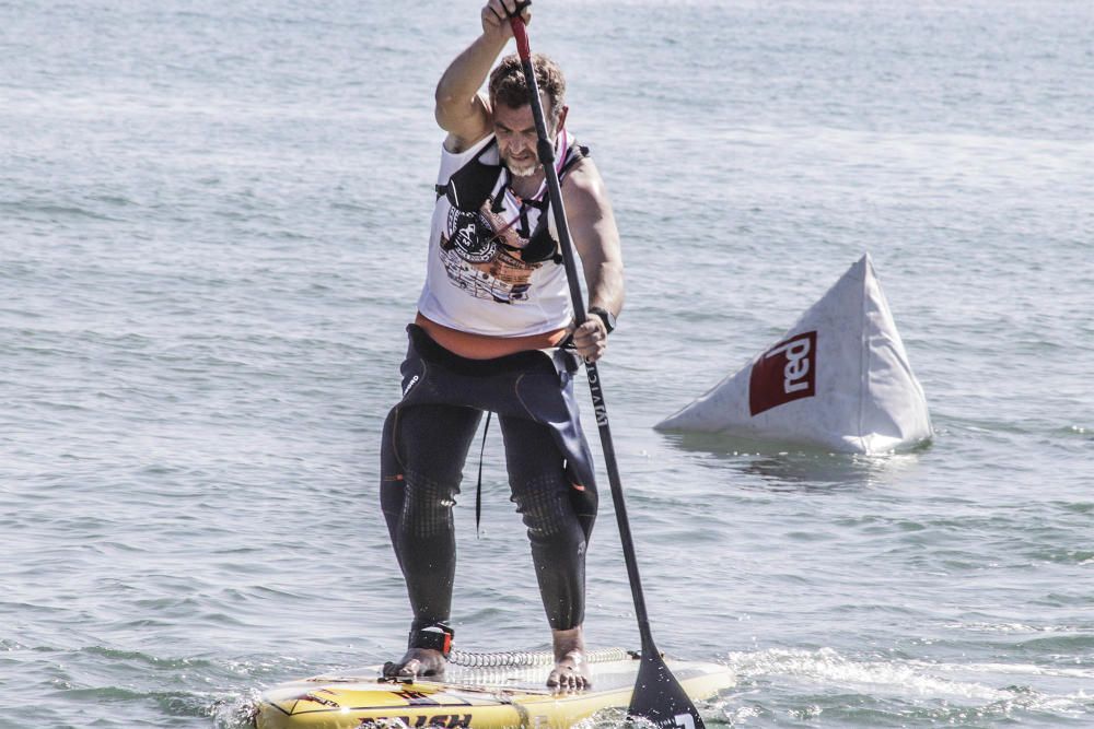 Campeonato de Paddle Surf en Torrevieja