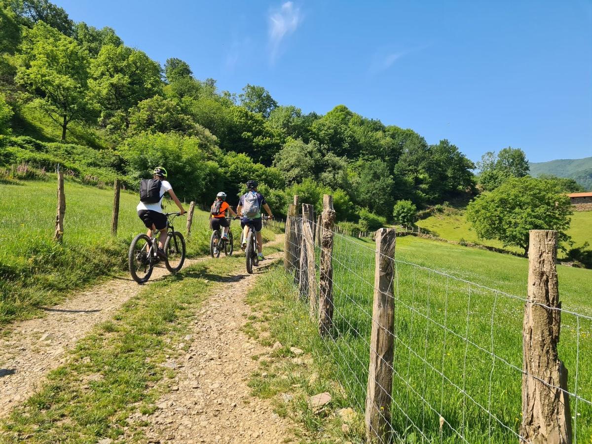 Vía Verde del Bidasoa