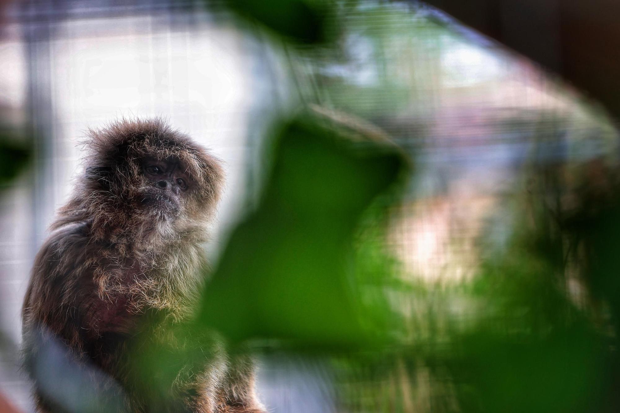 Centro de Fauna Exótica de Santa Cruz