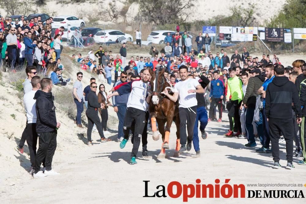 Entrenamiento Caballos del Vino