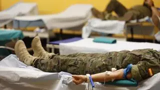 Donar sangre tiene premio en Alicante: el maratón de donación de la Diputación regala dos entradas para visitar el MARQ