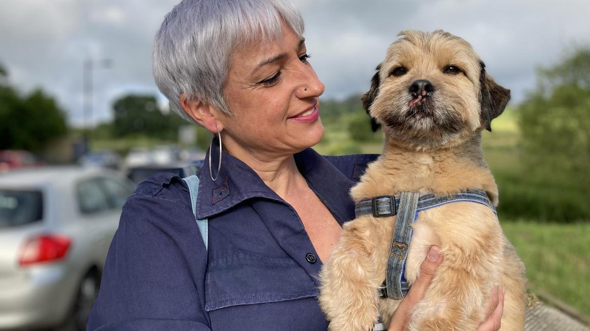 La lección de vida de "Vladi", el perro que cayó de un acantilado en Llanes: "No hay que rendirse nunca"