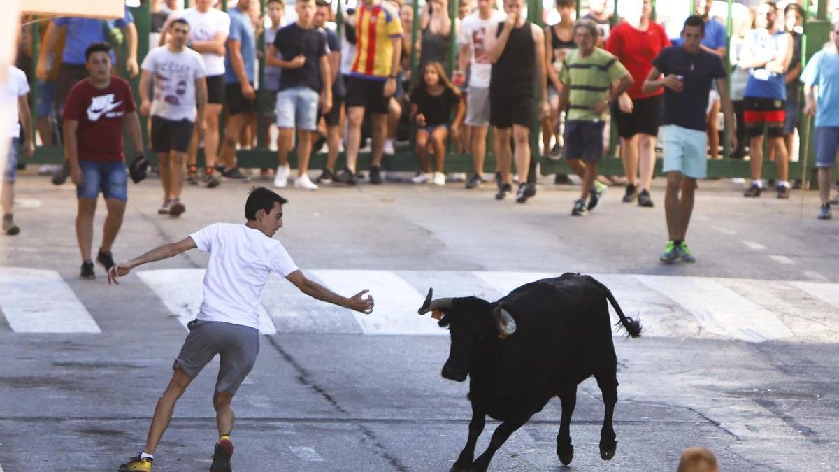 Uno de los actos taurinos de una anterior edición de las fiestas de Canet.