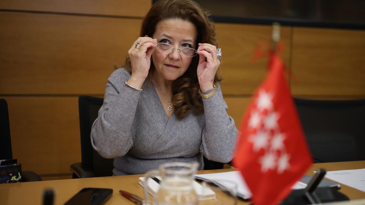 La consejera de Sanidad de la Comunidad de Madrid, Fátima Matute, durante la reunión del Consejo Interterritorial del Sistema Nacional de Salud.