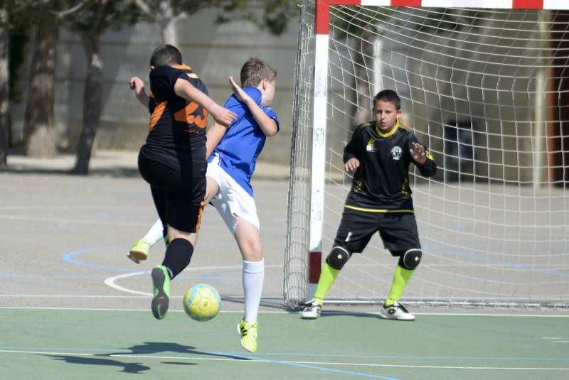 FÚTBOL: Rosa Molas - Colo Colo B (Infantil Superserie)