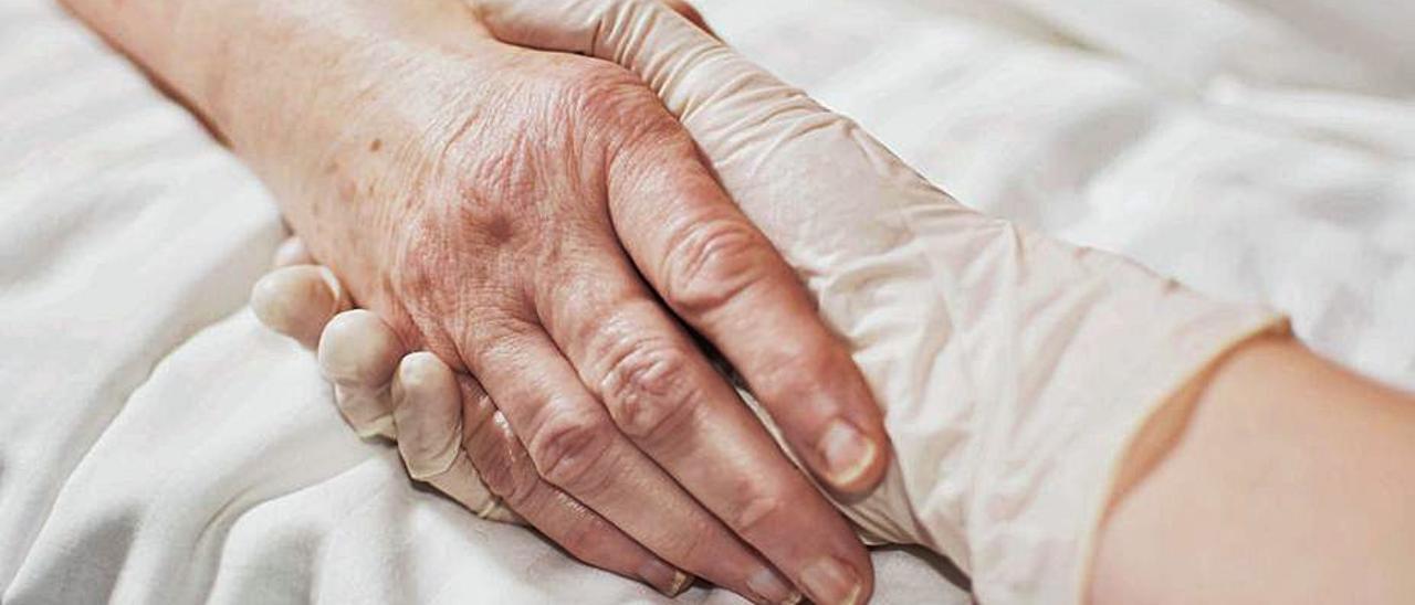 La eutanasia puede aplicarse en el hospital o el domicilio. | LEVANTE-EMV