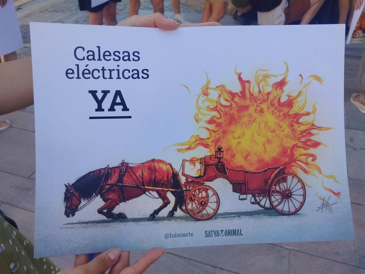 Imágenes de la protesta contra los caleseros