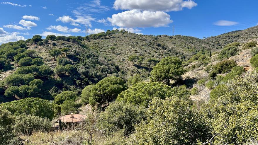 Confirmen que el cap humà trobat a Badalona és d&#039;un veí de Vic desaparegut a finals de gener