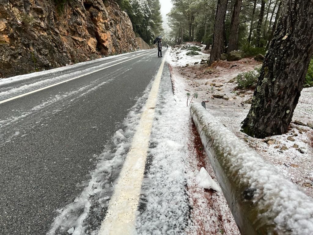 Mallorca registra la mayor nevada en cinco años