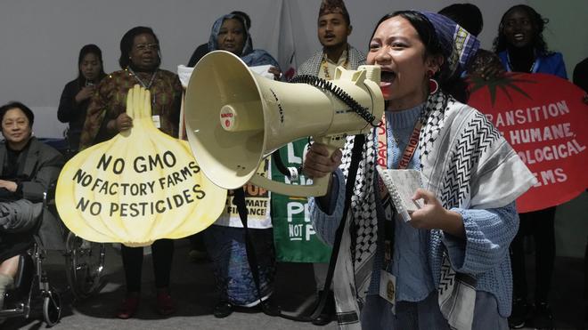 FOTOS | Protestas de activistas en la COP29