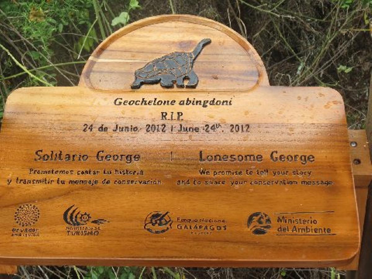 Placa conmemorativa de la muerte de George (2013).