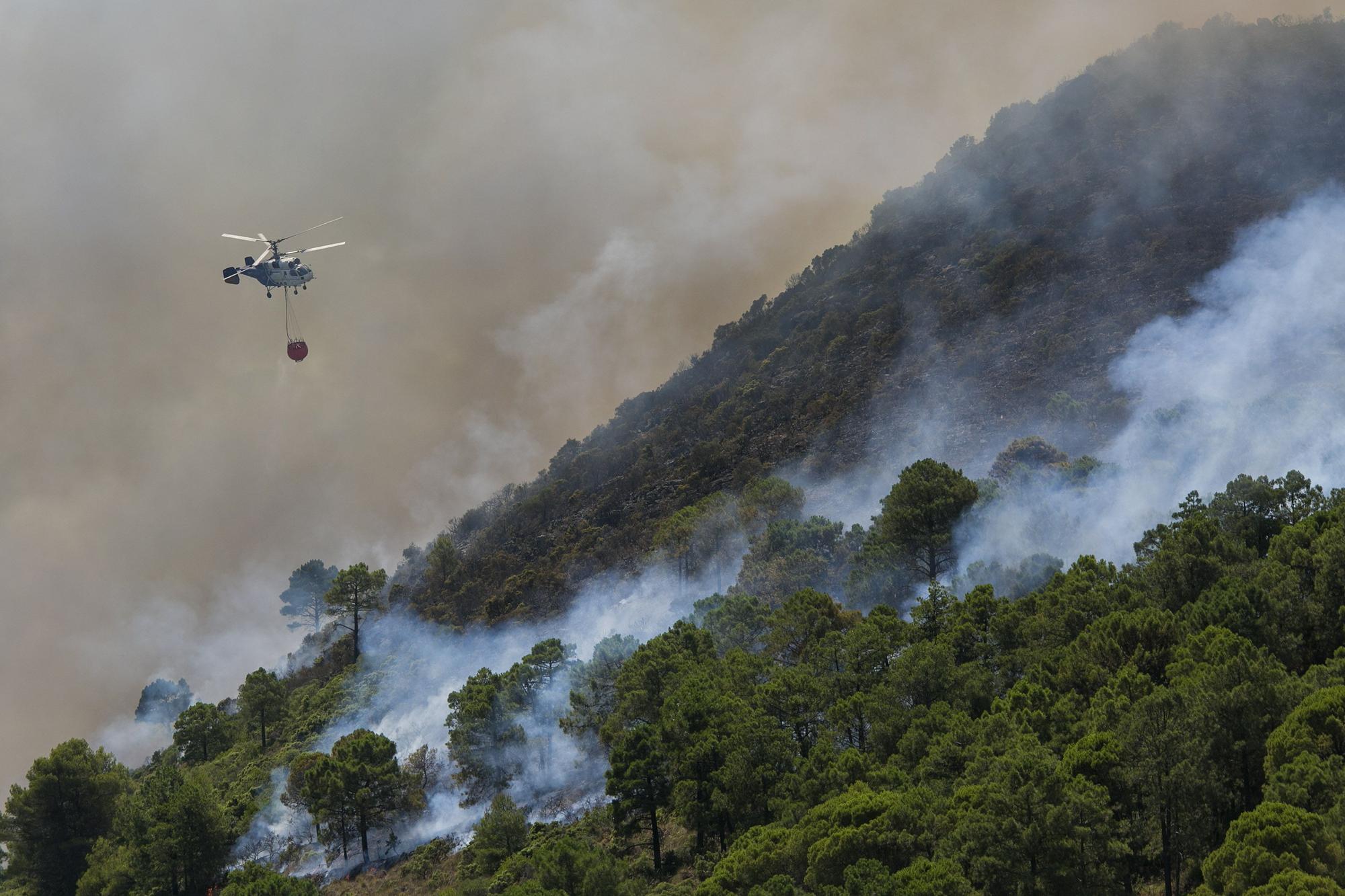 Imágenes del incendio en la Sierra de Mijas