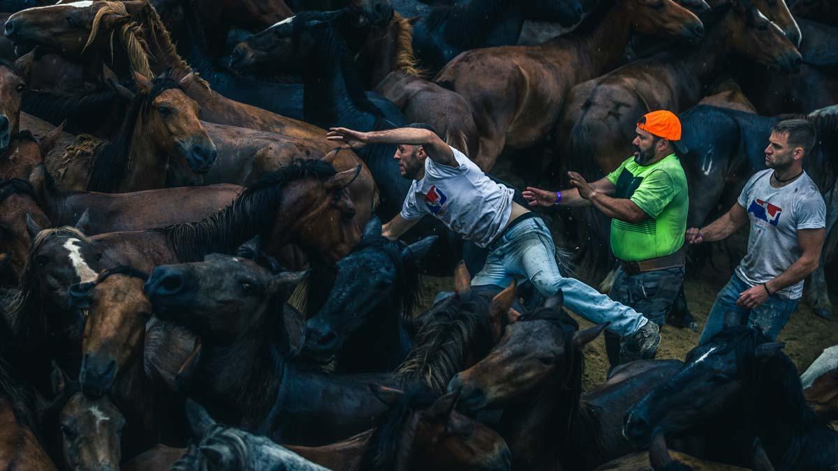 A Rapa das Bestas, en la que hizo presencia la lluvia durante el primitivo ejercicio de fuerza, pericia y astucia en el que el ser humano trata de doblegar con sus propias manos la voluntad de cientos de caballos salvajes. Vista del Curro durante la jornada lluviosa.