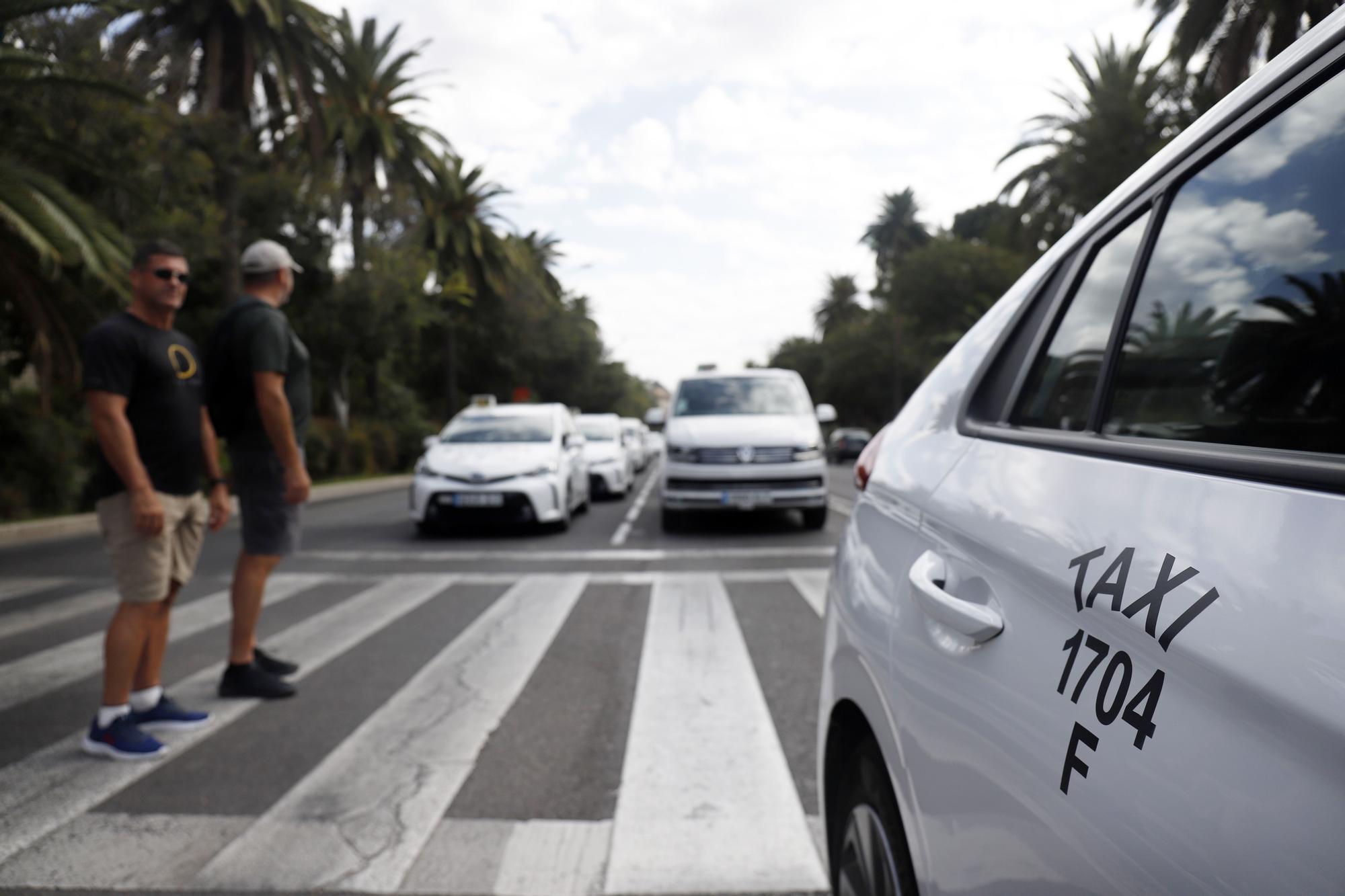 Manifestación del sector del taxi en Málaga contra el intrusismo de las VTC