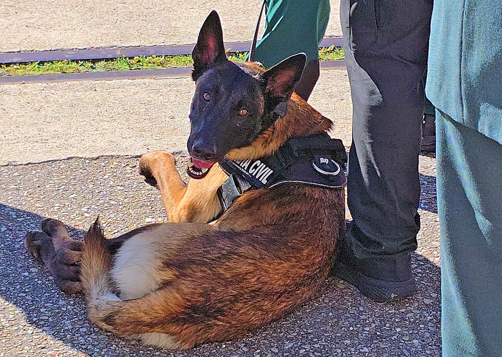 La Guardia Civil celebra en Vigo el día de su patrona, la Virgen del Pilar
