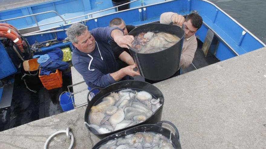 Marineros gallegos descargan las capturas de pulpo a su llegada a puerto.