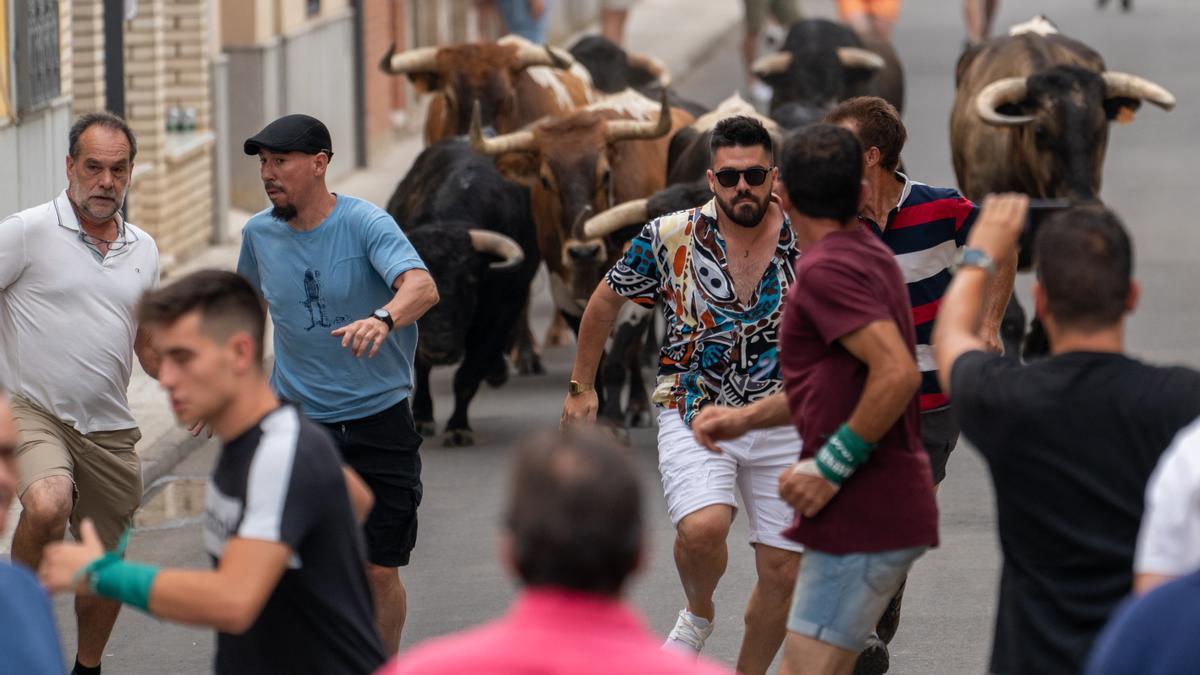 La emoción es una de las señas de identidad de los encierros taurinos de las Fiestas de San Buenaventura en Moraleja.