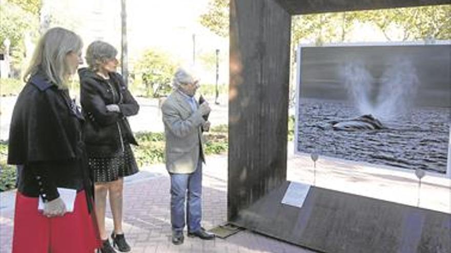 Castellón saca a las calles las imágenes de Sebastião Salgado