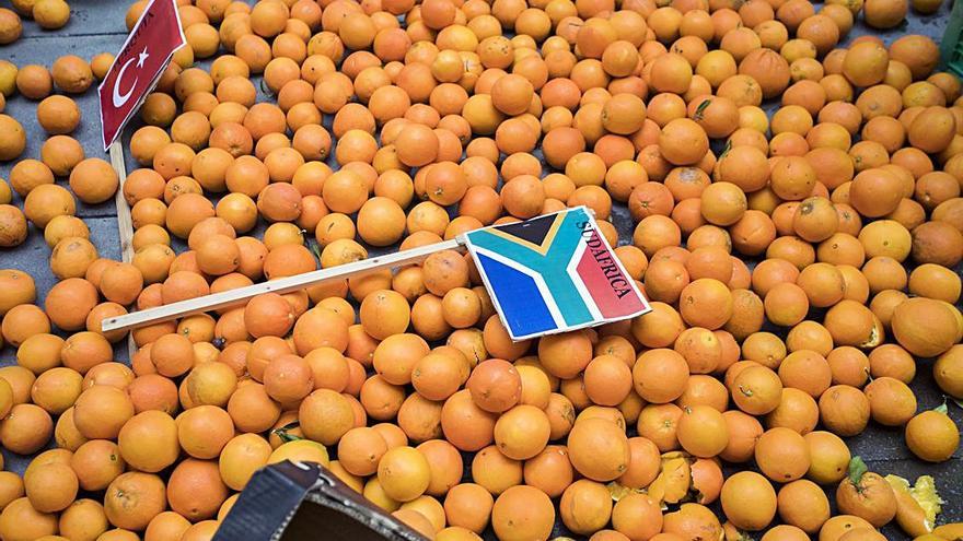 Protesta contra las naranjas    sudafricanas | Germán           Caballero