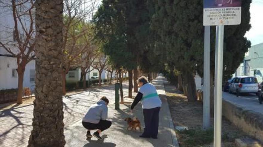 Multas duras por las cacas de perro