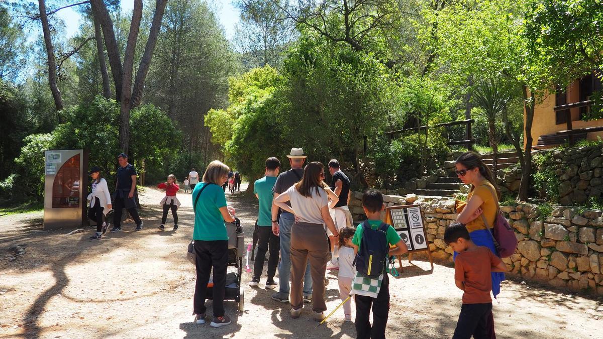 Más de 200 visitantes cada hora han accedido este Lunes de Pascua a la Murta de Alzira.