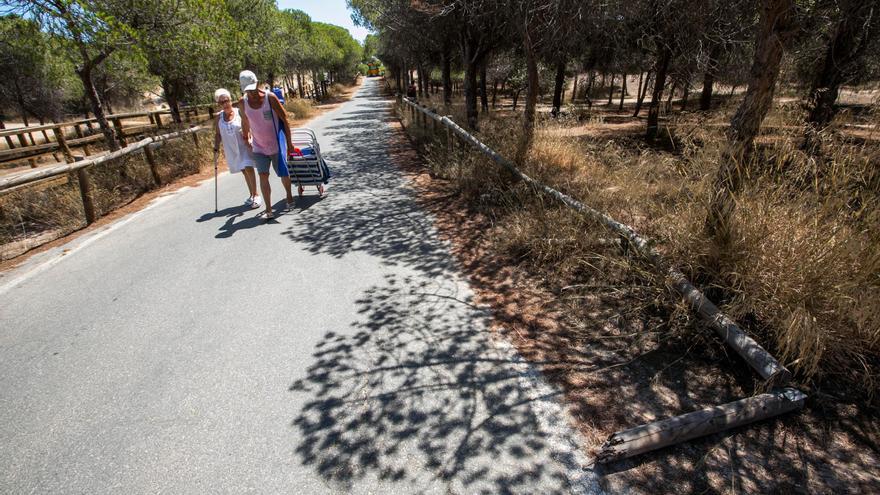 Setecientos mil metros cuadrados de un ambicioso plan urbanístico de Elche, en el aire