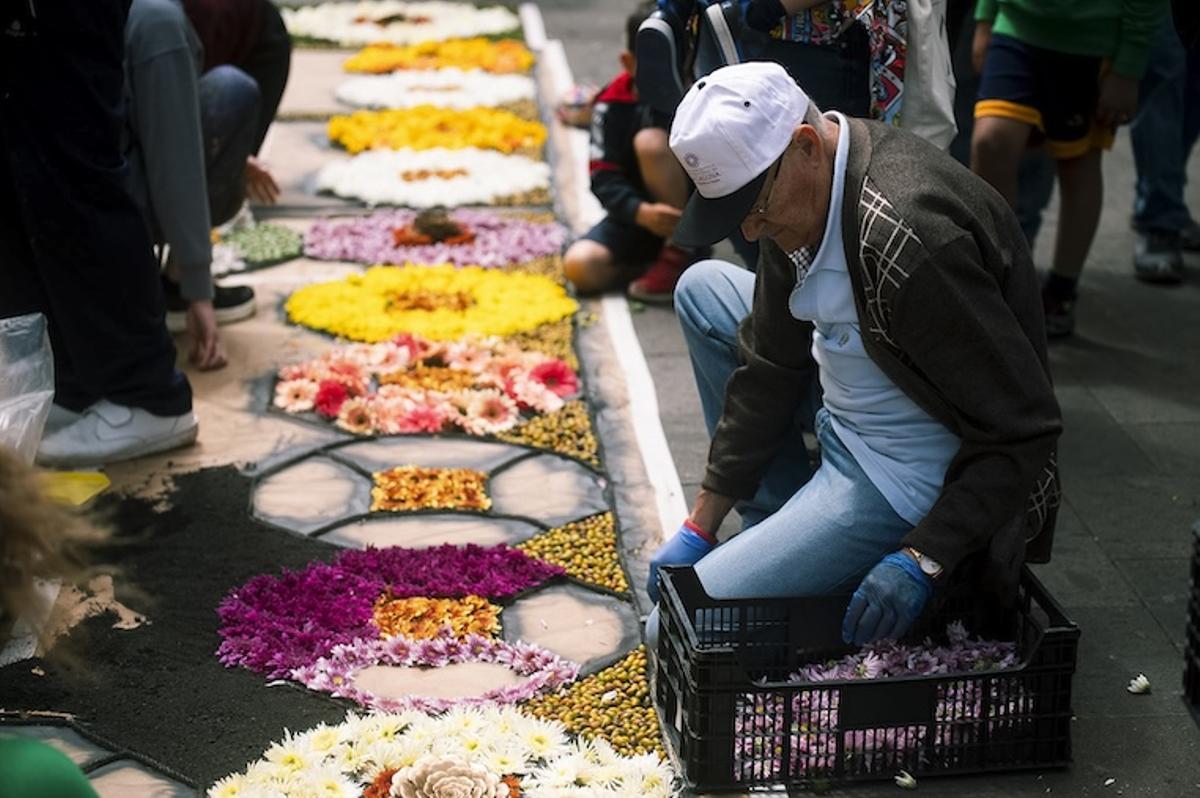 Un hombre colcoando flores en el Corpus Christi de La Laguna